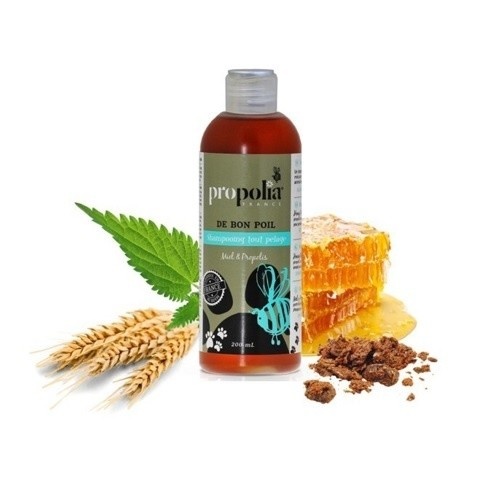 Shampoo suave e purificante 100% natural com própolis para animais de estimação.