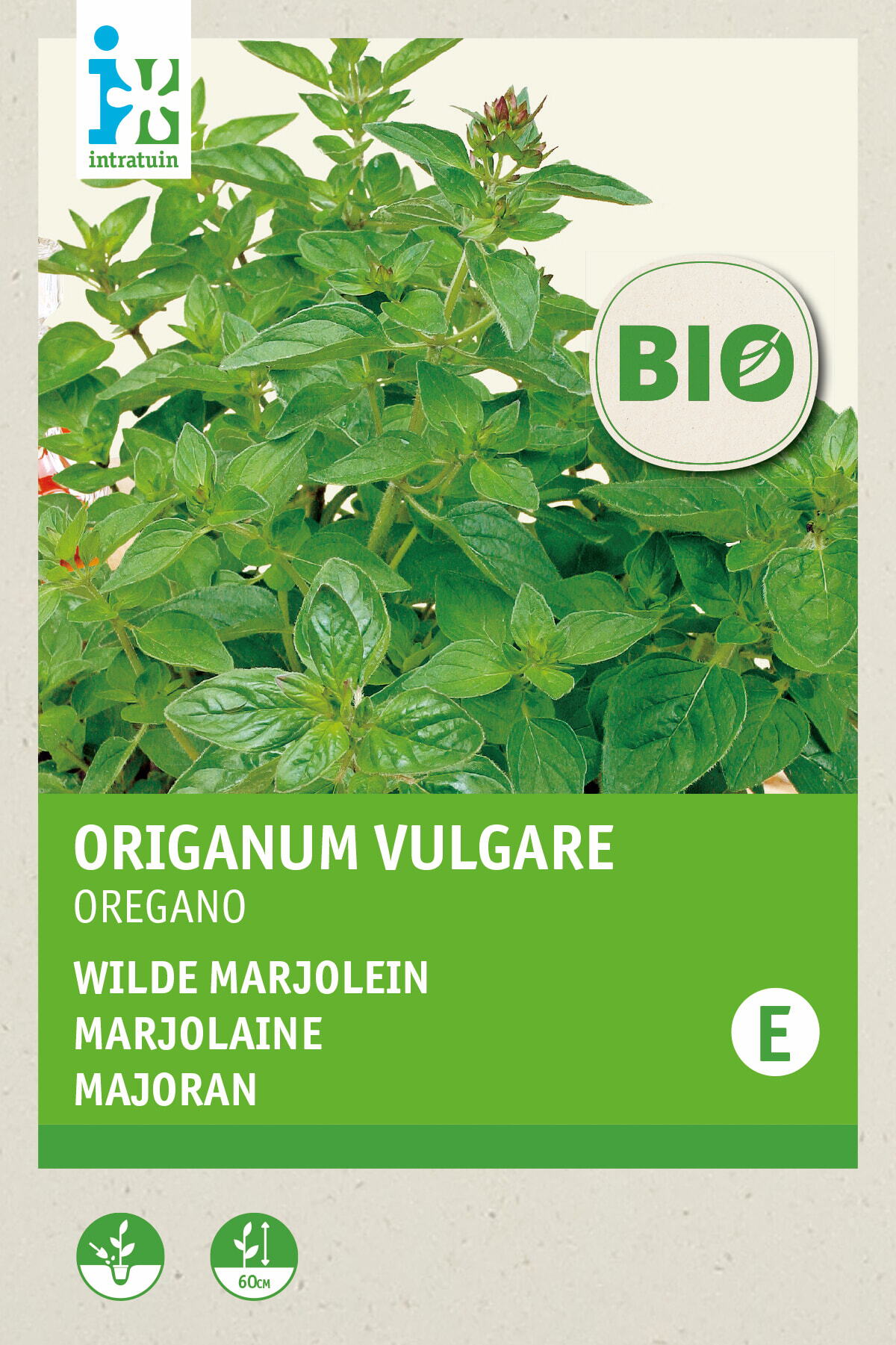 Biologische Intratuin kruidenzaad Wilde Marjolein (Origanum vulgare)