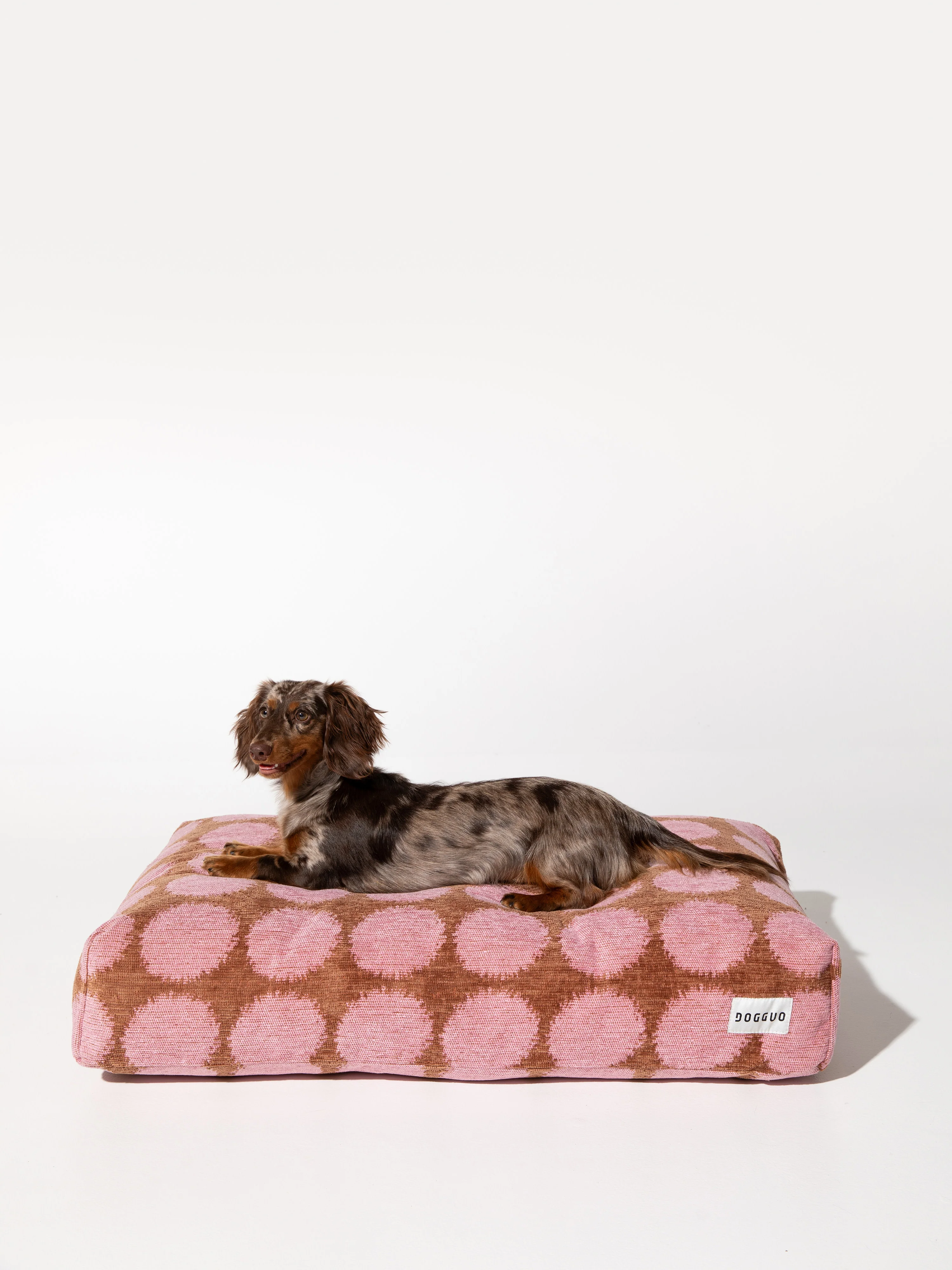 Huisdierbed Dot, in verschillende formaten
