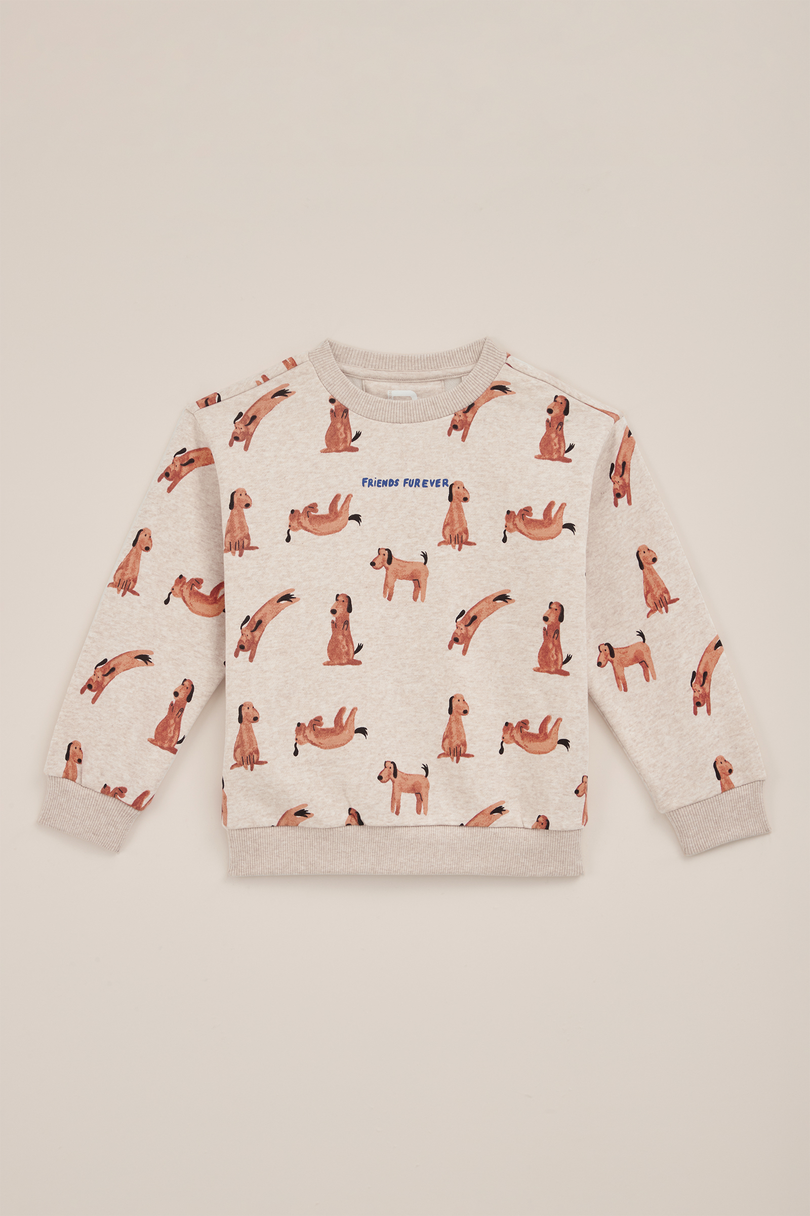 Jongens sweater met opdruk WE Fashion Lichtgrijs gemeleerd