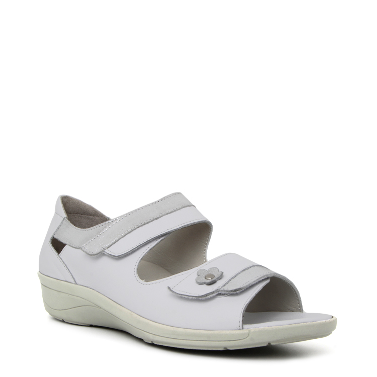 Dragonfly Re-3422 | BLANC