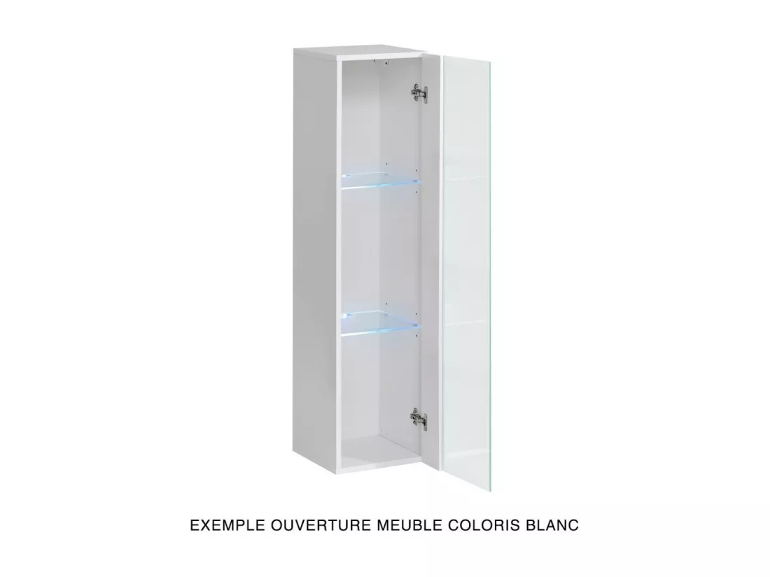 Vitrine suspendue noire petit modèle avec 1 porte vitrée et éclairage LED inclus. Collection SWITCH.