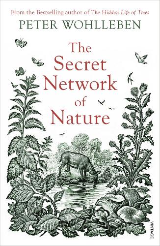 The Secret Network of Nature: The Delicate Balance of All Living Things (Paperback)