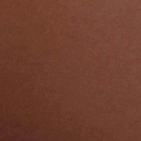 Clairefontaine Fotokarton Premium, braun, DIN A4, 300g, 25 Blatt