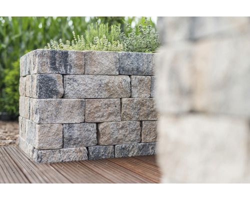 iBrixx Passion Twee schelpkalksteen wandsteen 25 x 12,5 x 12,5 cm