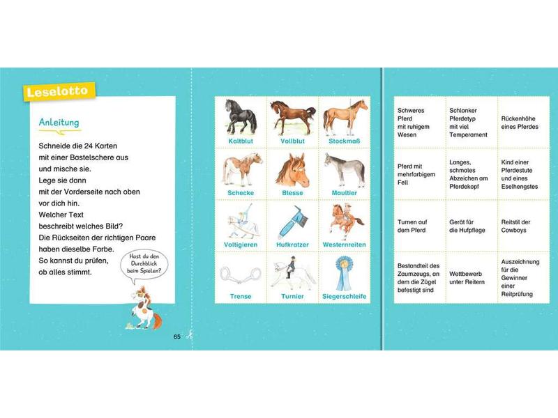 Ravensburger Kinder-Sachbuch WWW Erstleser: Pferde Band 6 Lesetraining, Sachwissen und Spielspass!