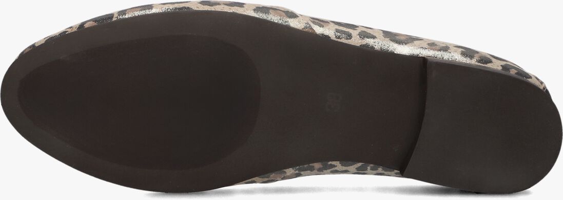 bruine notre-v loafers 11869