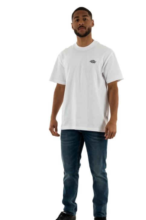 Tee shirt dickies summerdale whx1 white