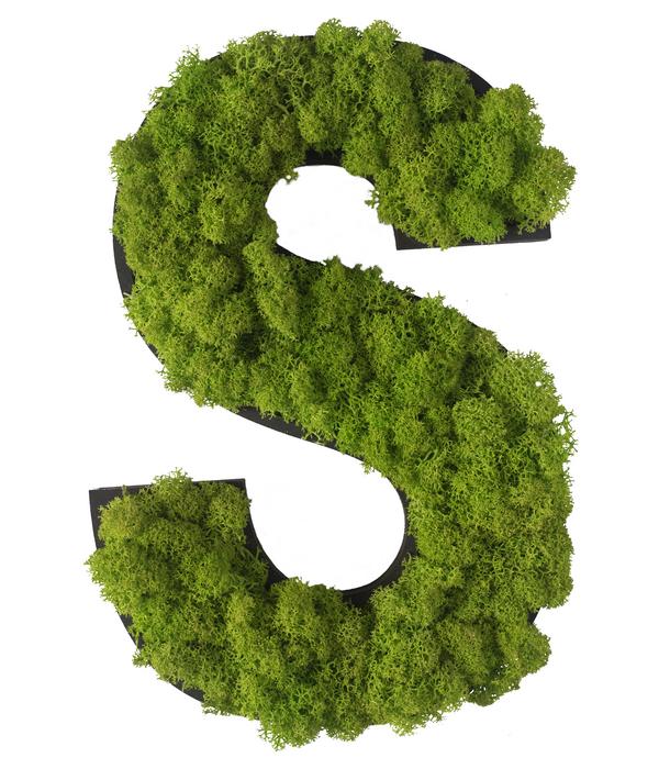 styleGREEN Buchstaben aus Islandmoos, ca. H25