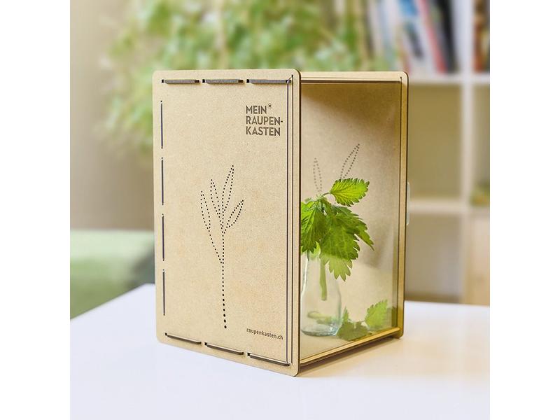 Mein Raupenkasten Insektenhotel Raupenkasten Aufzucht-Box