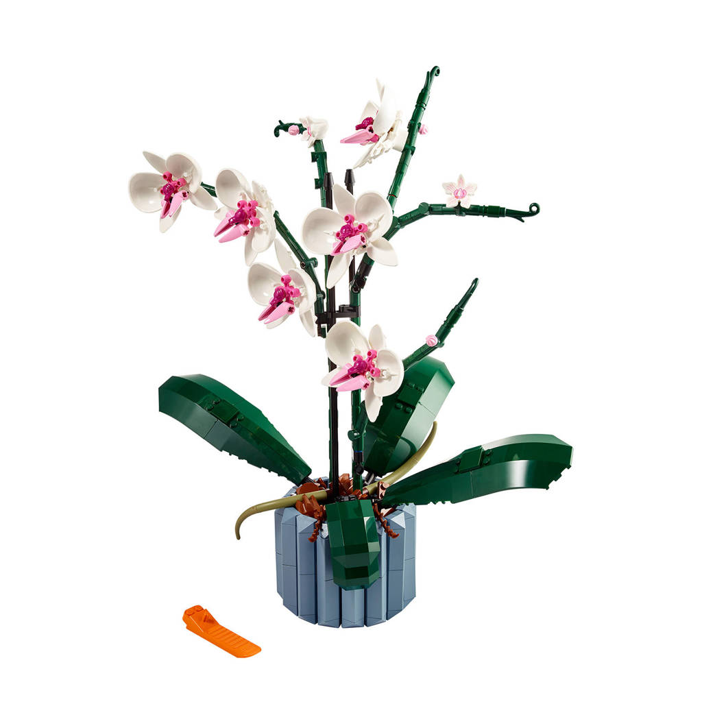 Mooie botanicalOrchidee Decoratie Planten Bouwpakket voor Volwassenen 10311