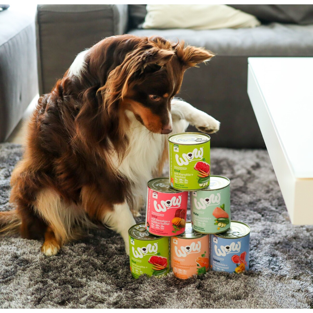 WOW Nassfutter Hund, Adult 6x800 g Lachs mit Löwenzahn