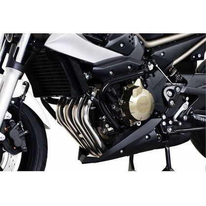 Pare-carter SW-MOTECH crash bar