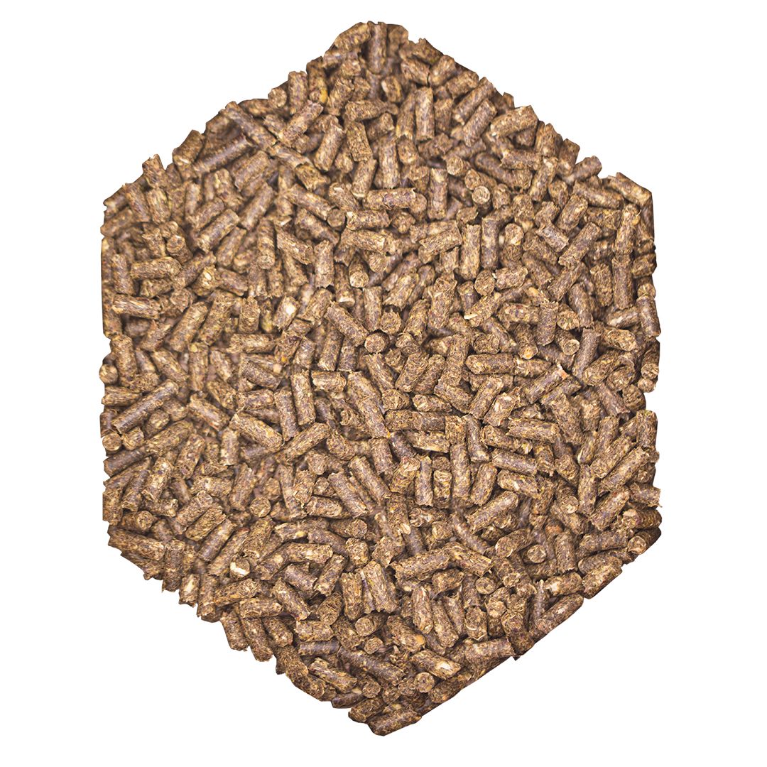St. Hippolyt WES Basic Crunch
