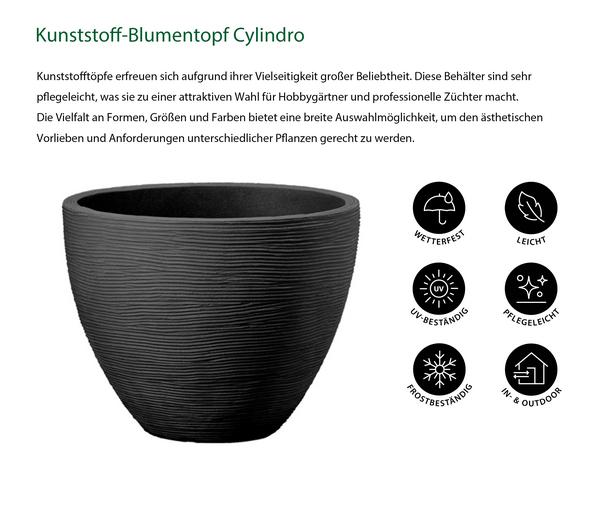 Dehner Kunststoff-Topf San Diego, konisch,