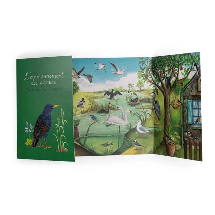 Moulin Roty Coffret découverte des oiseaux