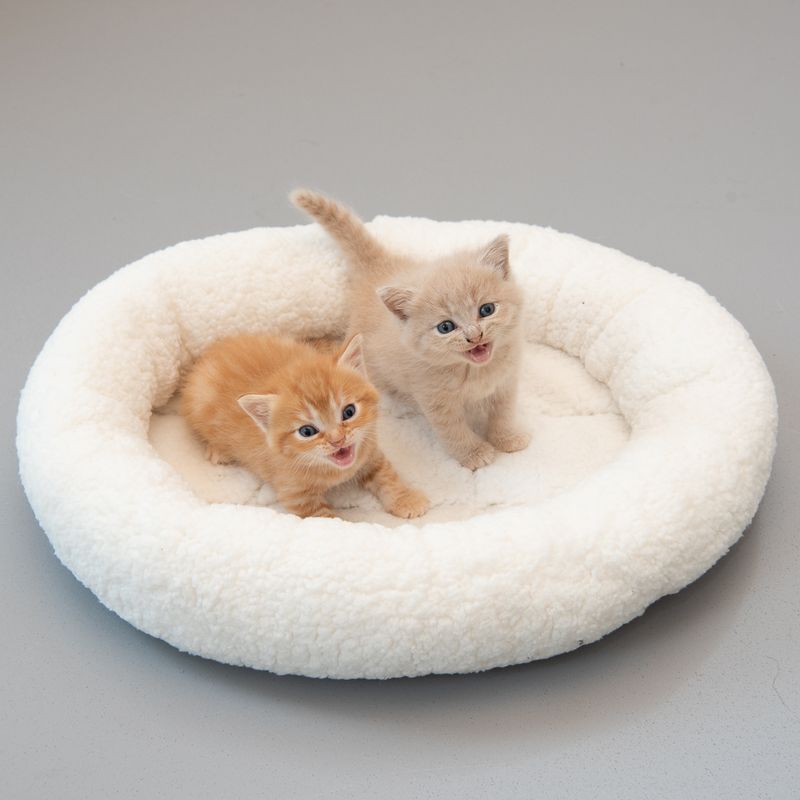 Panier Fluffy 2in1