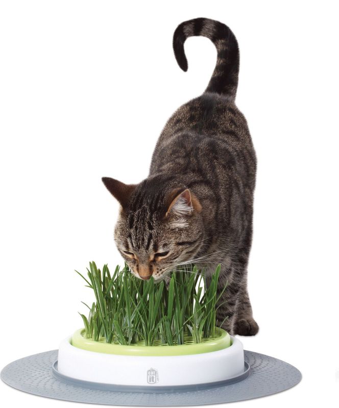 Catit Senses Navulling Gras