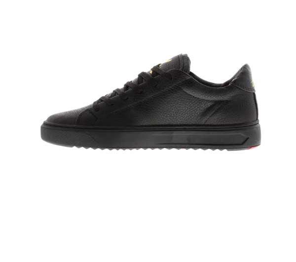 Loyalti Loyalti Patriot Reptile Trainers