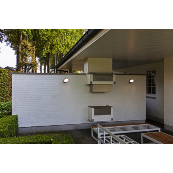Lutec buitenlamp Polo antraciet
