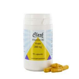 Holisan Vitamine b2 300 mg 95vc