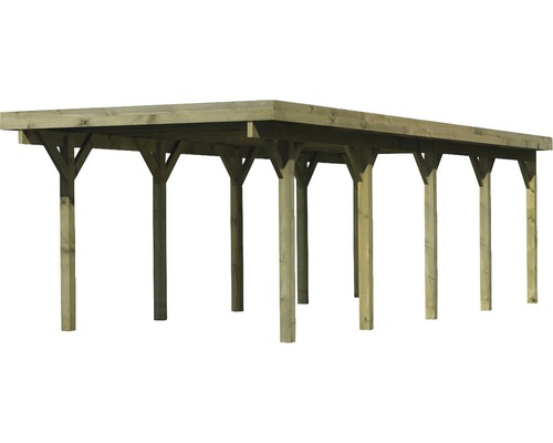 Enkele carport Karibu Dahnen 3 variant A 318x860 cm drukgeïmpregneerd