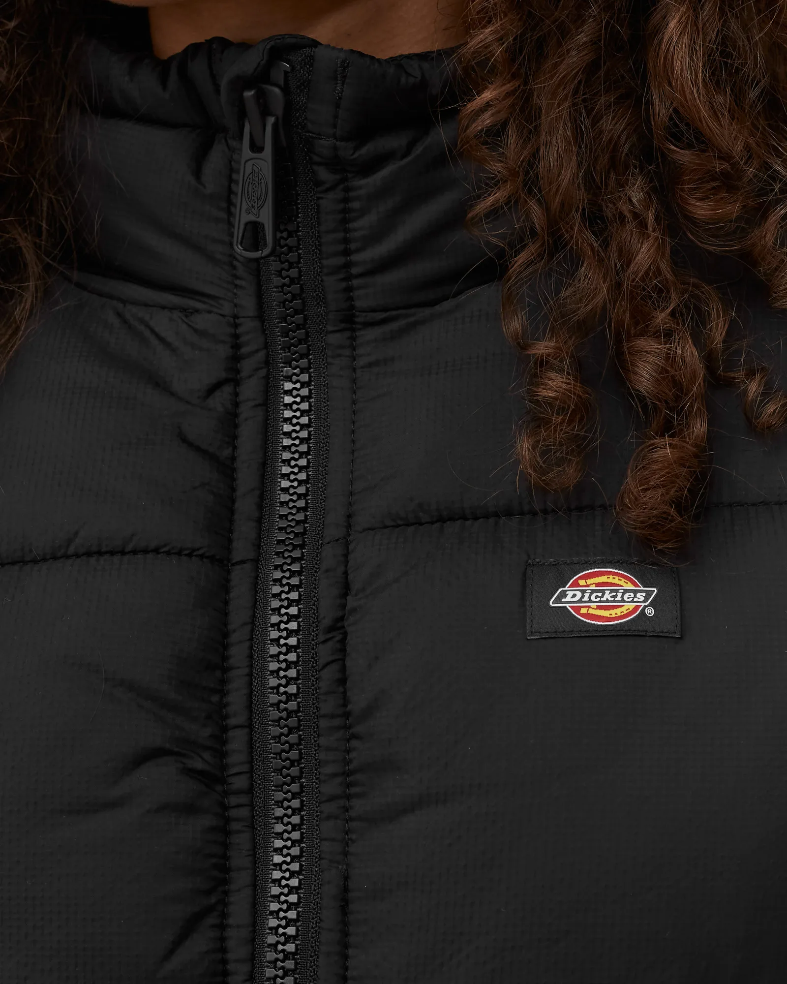 DICKIES ALATNA