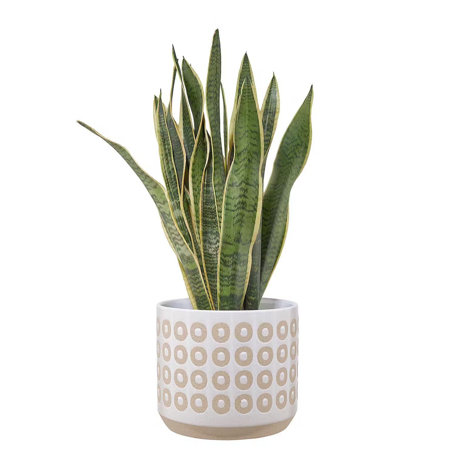 ETHNO Blumentopf