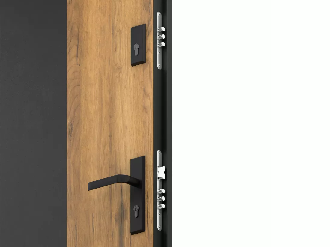 Porte d'entrée pleine en acier H207 x L100 cm - Noir et effet chêne - poussant gauche - MABENA