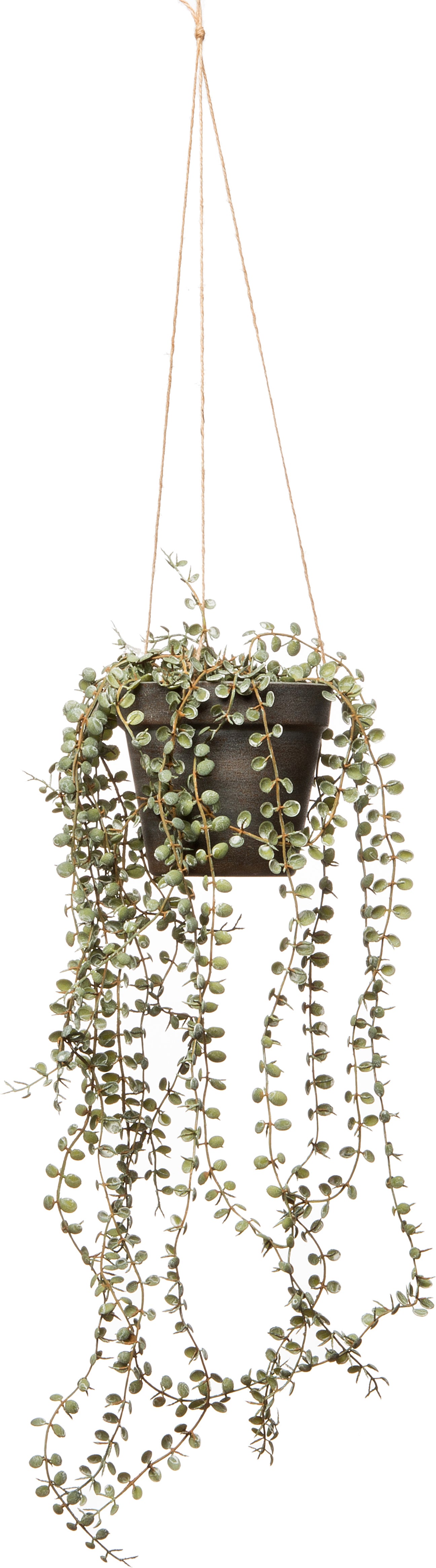 Intratuin kunsthangplant 15 x 15 x 55 cm