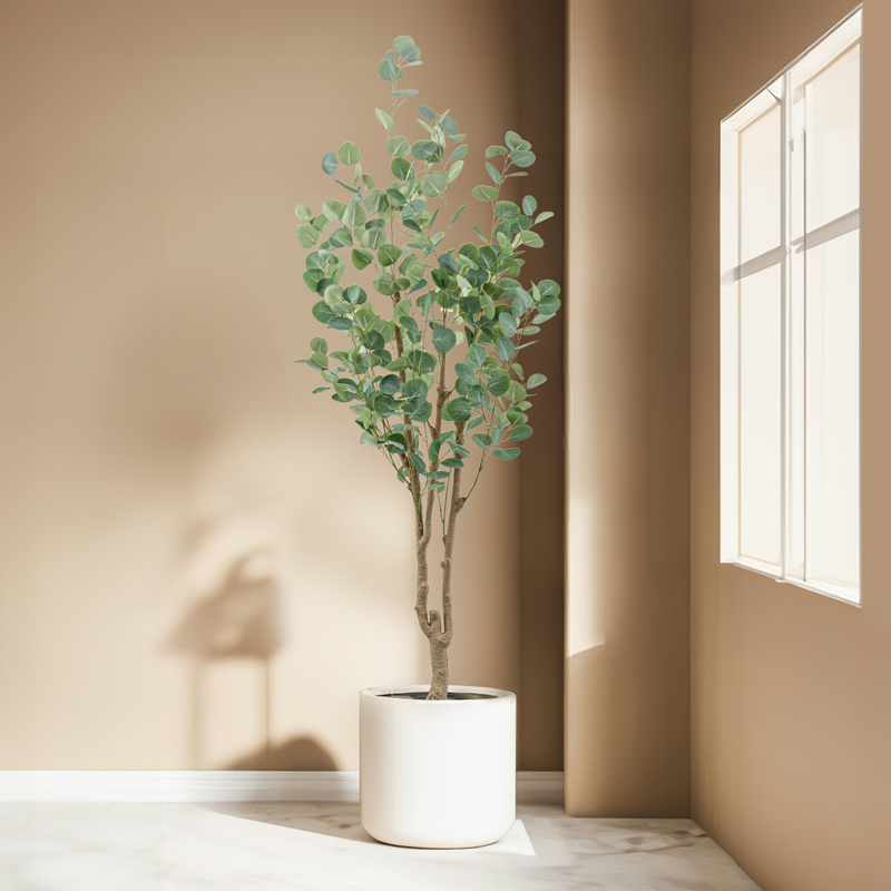 Eucalyptus en pot vert