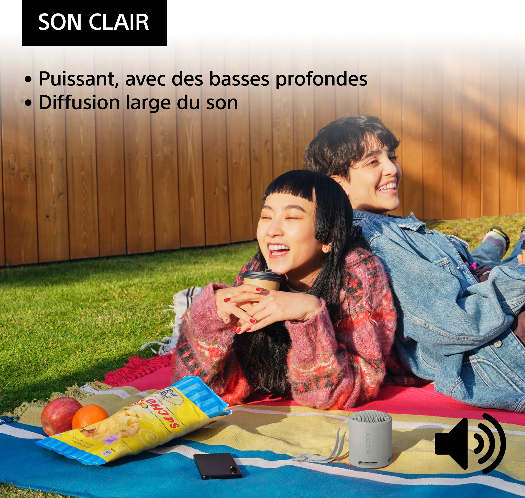 Sony SRS-XB100 Gris Enceintes Bluetooth portables