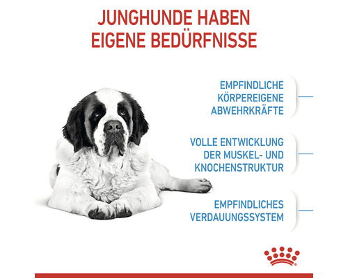 ROYAL CANIN Giant Junior droog hondenvoer voor puppy's van zeer grote rassen, 15 kg