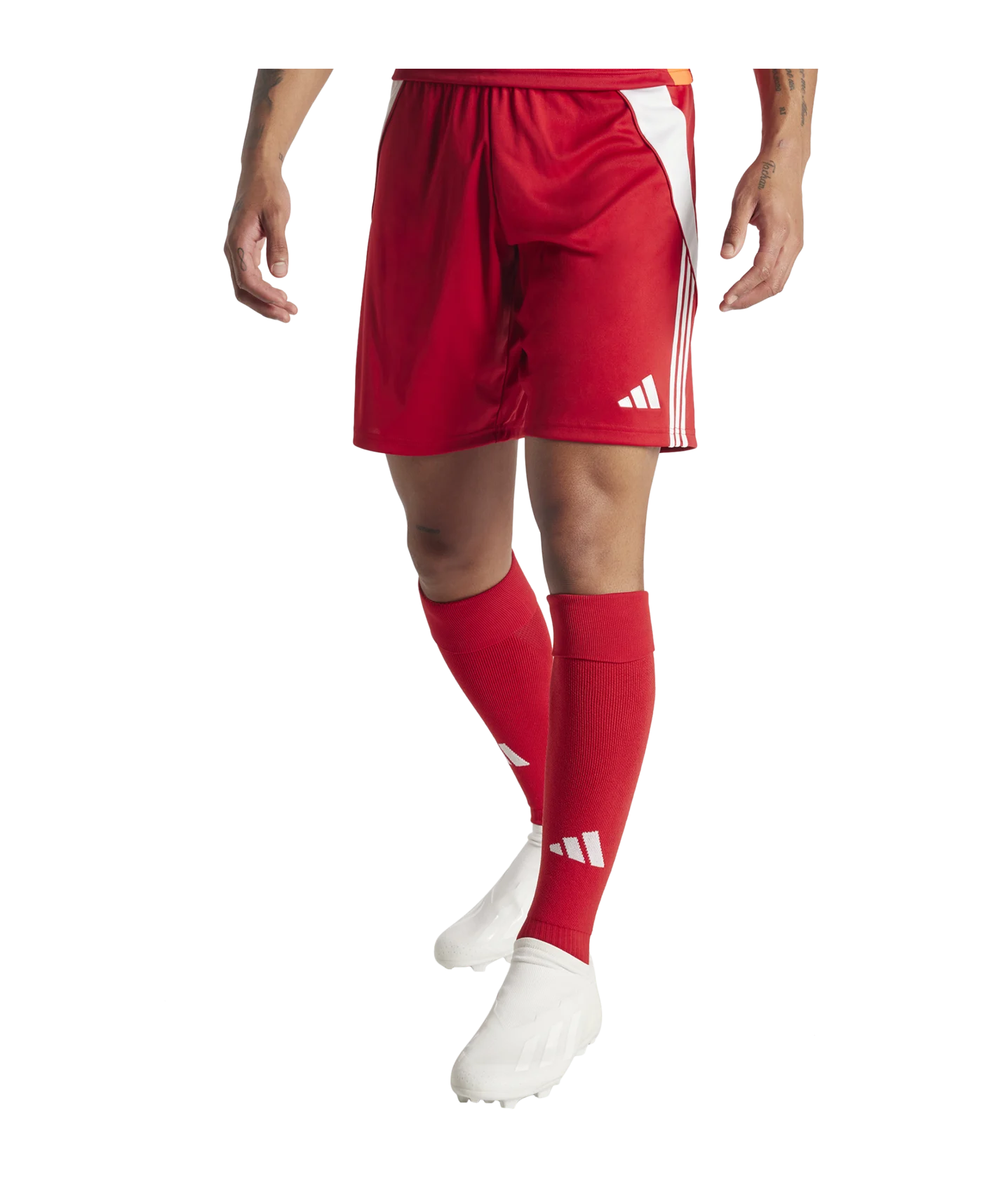 adidas Tiro 24 Short Rot Weiss