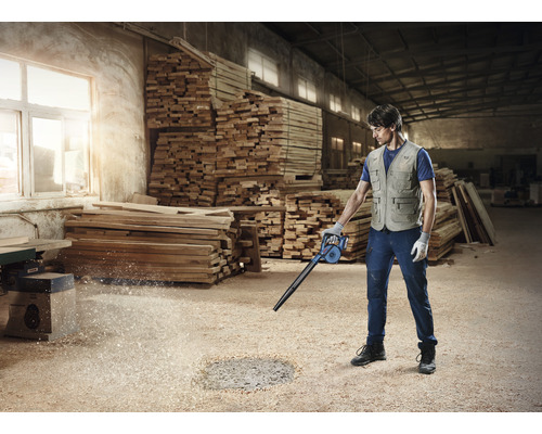 Bosch Professional GBL 18V-120 accu-bladblazer inclusief 4 accessoires (accu en lader niet inbegrepen).