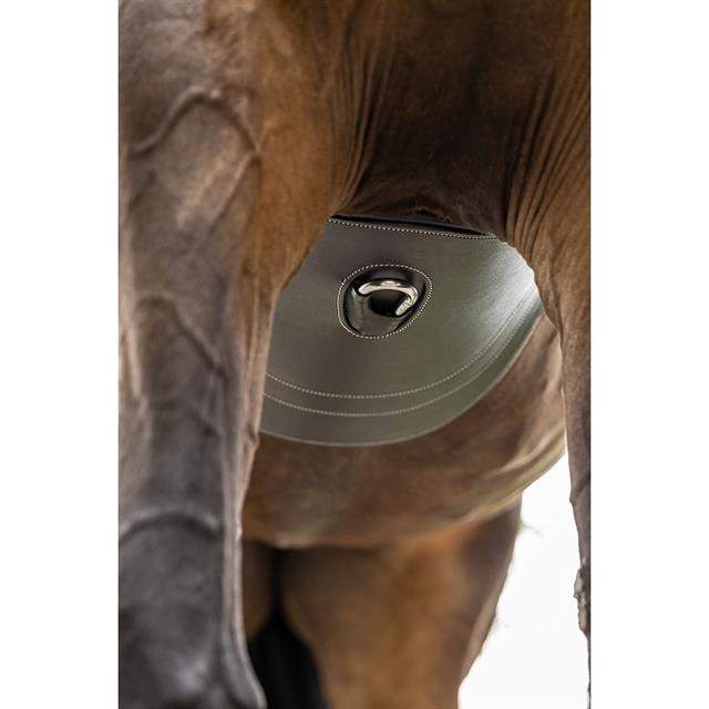 Singel HORSEGEAR HGMet Buikflap Zwart