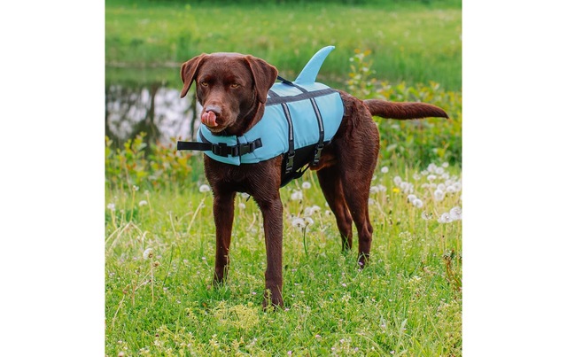 Nobby Hundeweste »Sharki XL, 45 cm, Blau«
