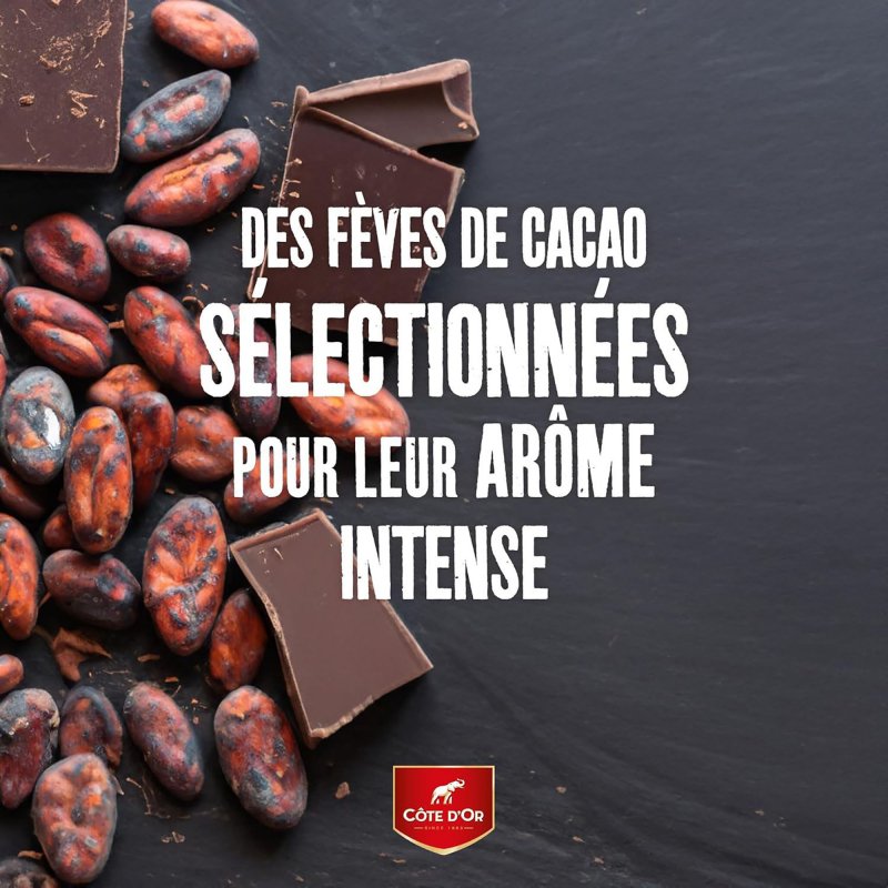 Barre chocolatée lait et noisettes Côte d'Or - 45 g