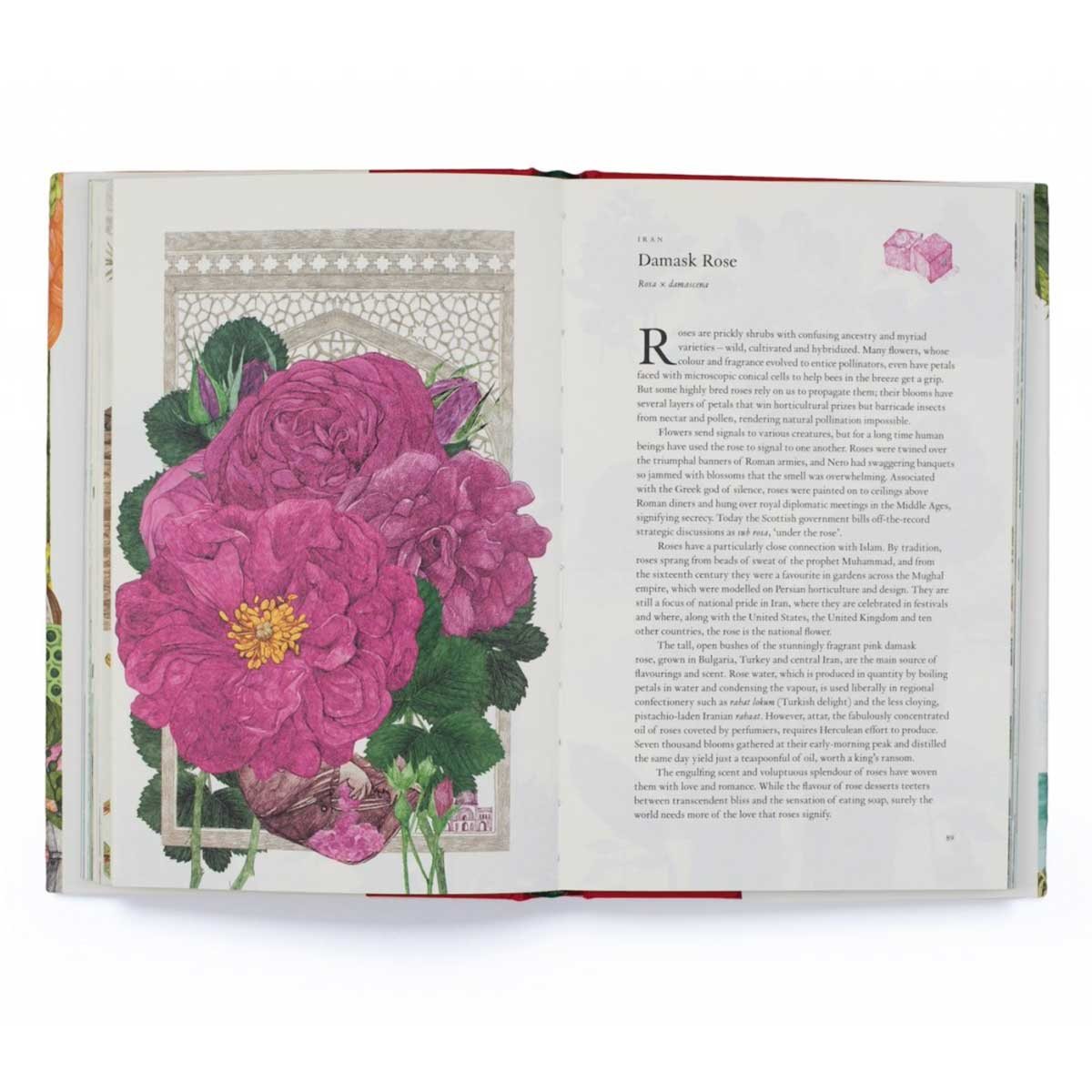 Around the World in 80 Plants (Hardback)