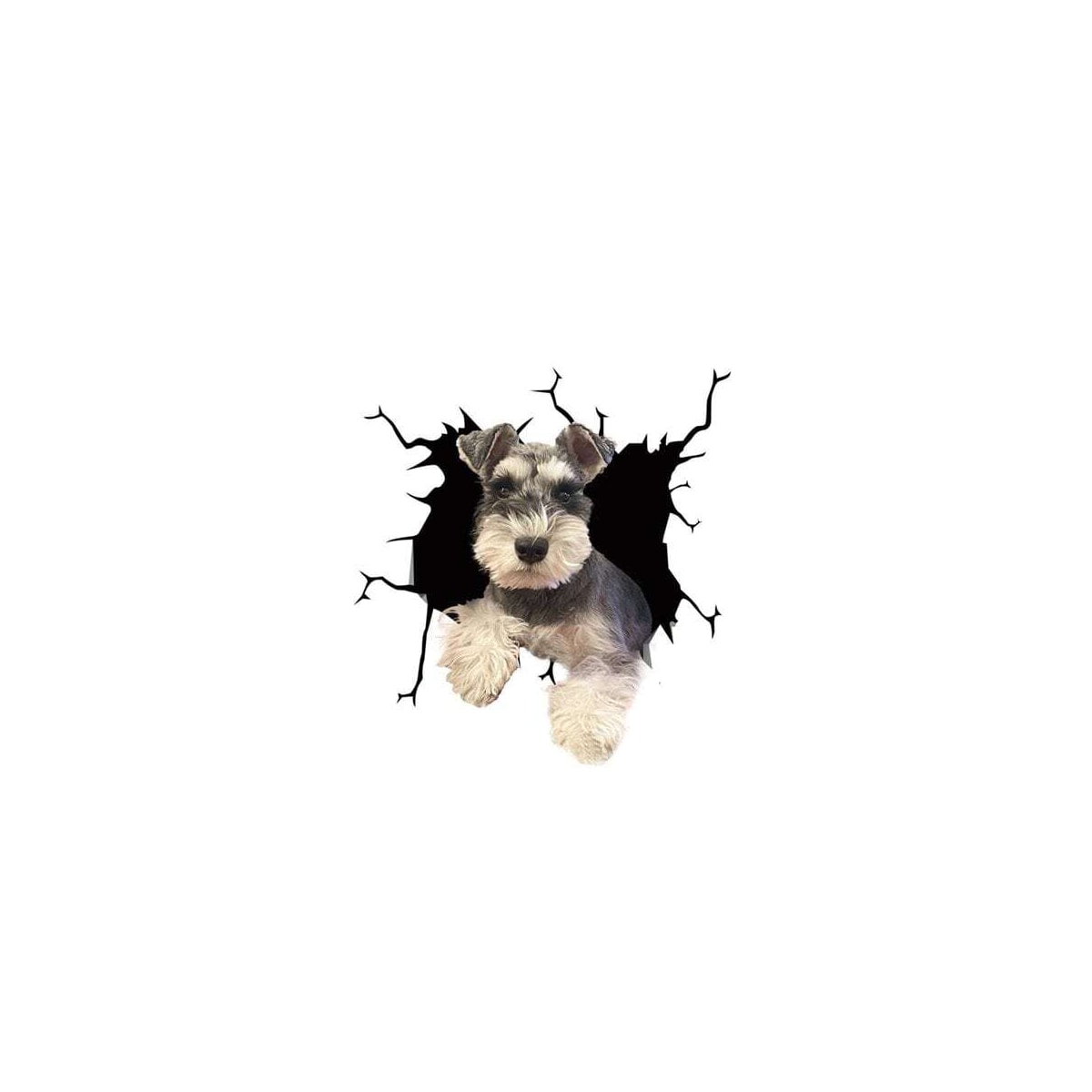 Bildekal Schnauzer