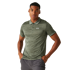 Remex II Polo