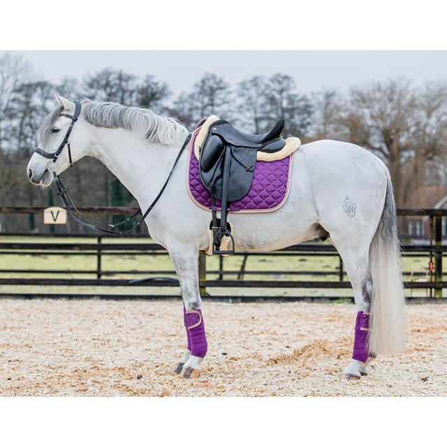 Bandages HORSEGEAR HGAurum Paars