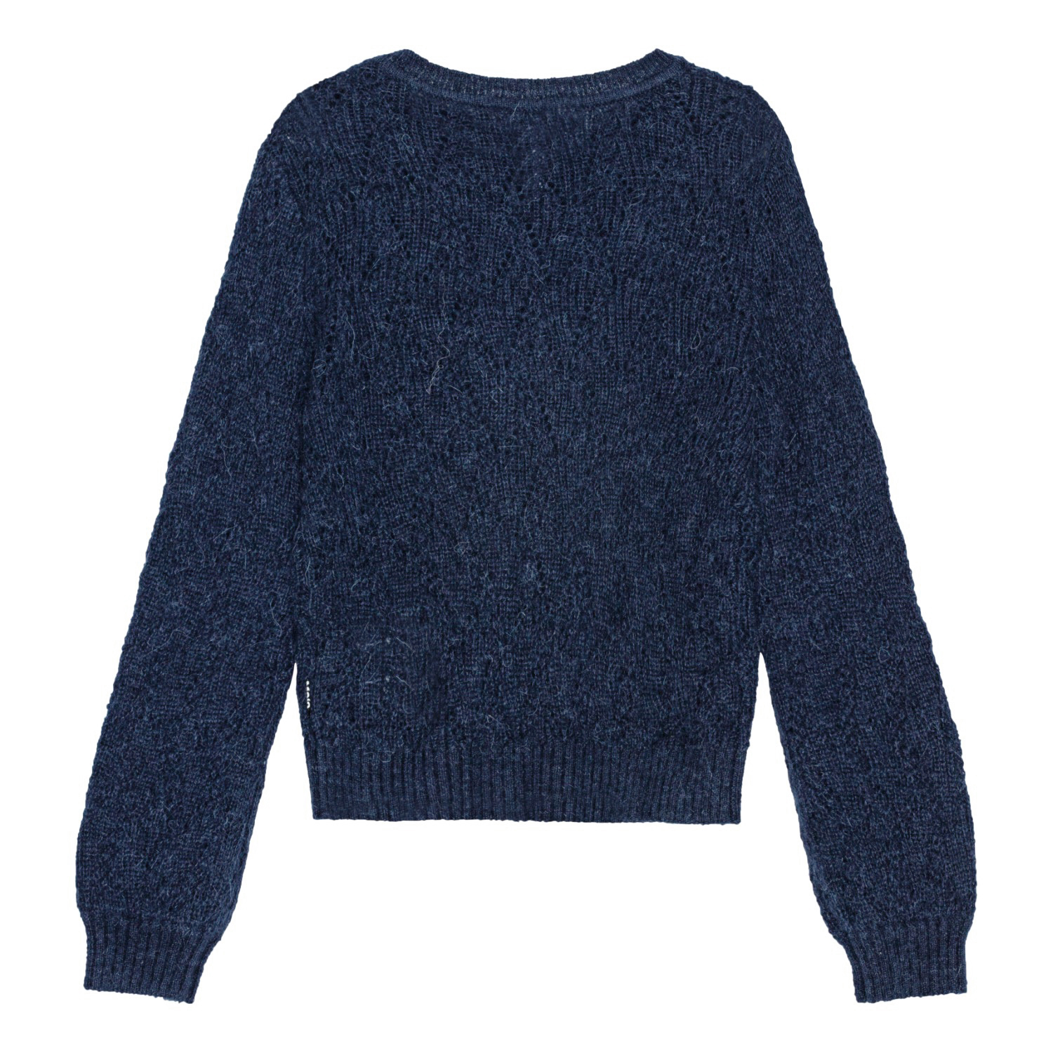 Ginger - Vibrant Blue