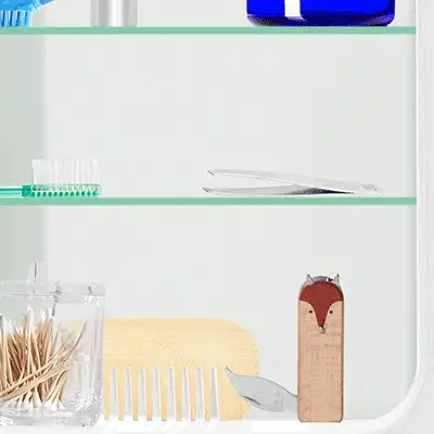 Fox Manicure Set