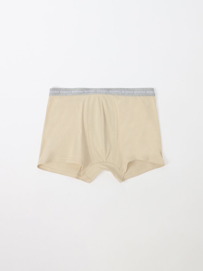 Pacote com 5 cuecas boxer básicas - Variadas