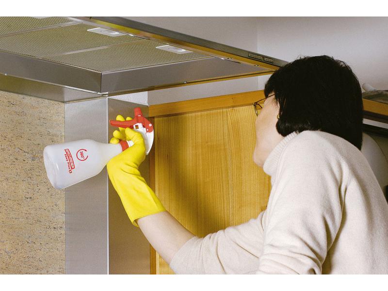 Birchmeier Handsprüher Foxy Plus Handsprühgerät mit leistungsfähiger Kolbenpumpe