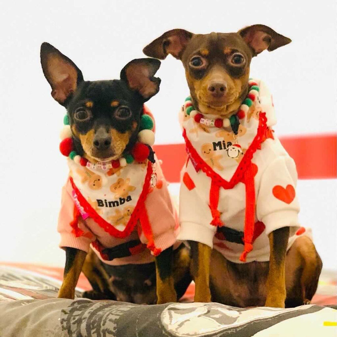 Coleira personalizada para cães com pompons