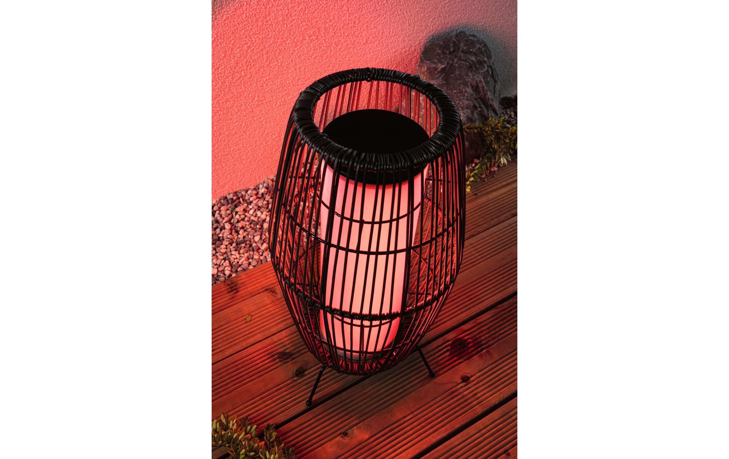 Stehleuchte Plug & Shine Basket, RGBW, 3.2W, Schwarz<br>LED Lichtobjekt