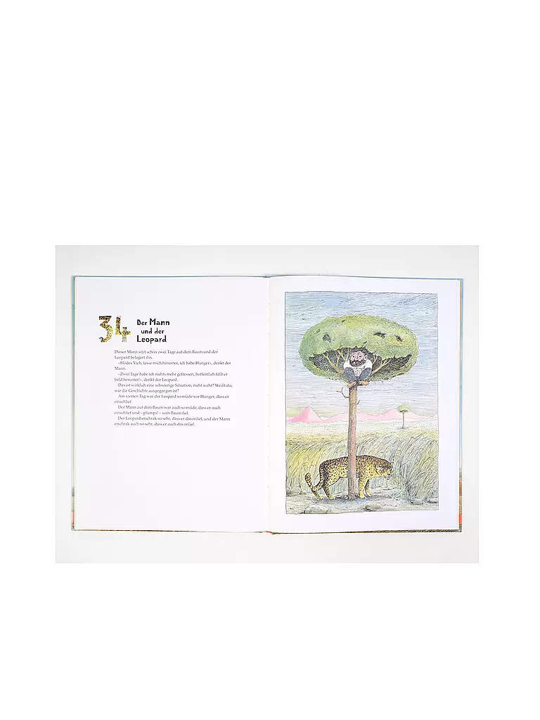 BELTZ & GELBERG VERLAG Buch - Das Haus auf dem fliegenden Felsen keine Farbe