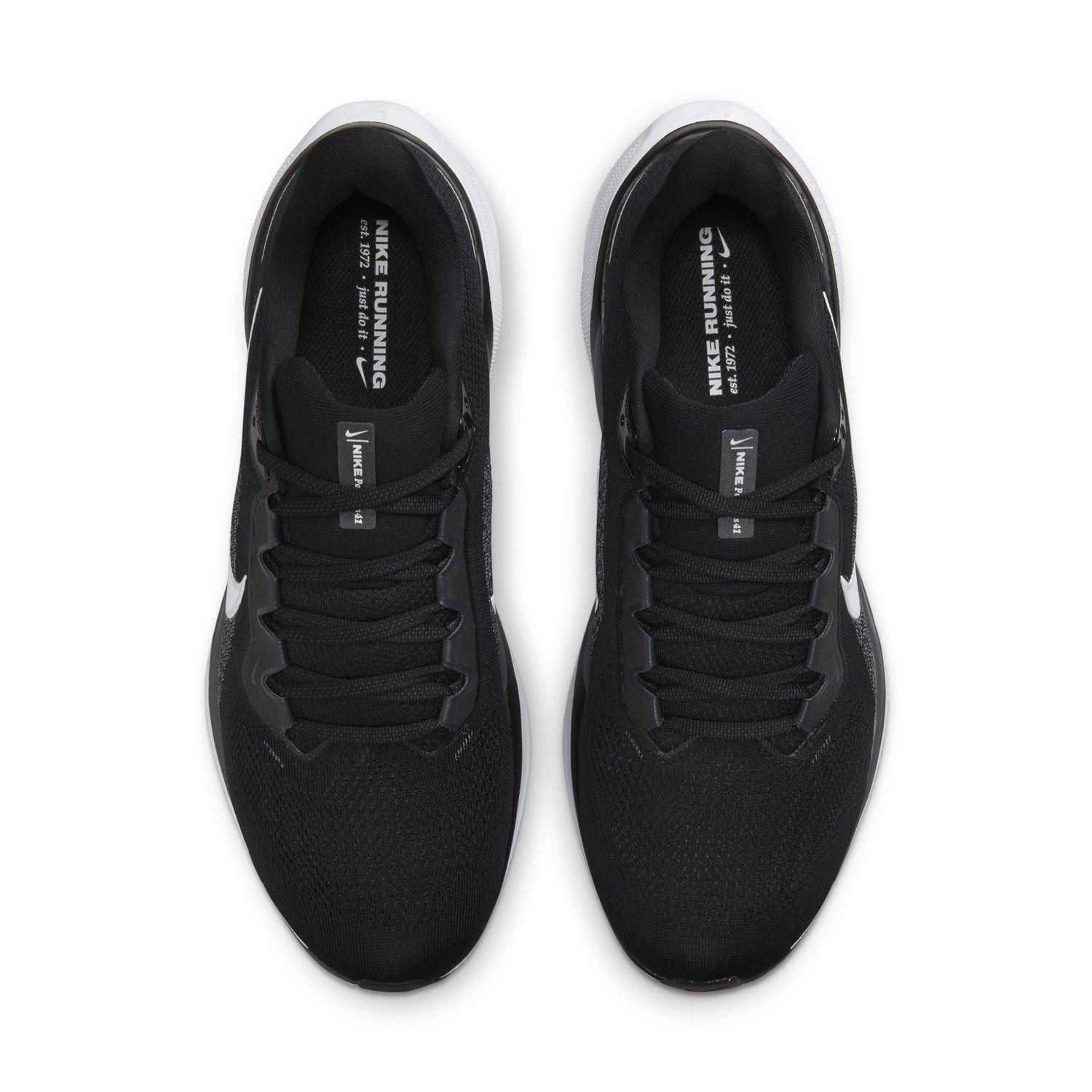 Nike  Pegasus 41